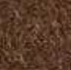 Aquatalia Boots-Maddie Taupe