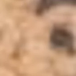 Aquatalia Boots-Palomina Caramel