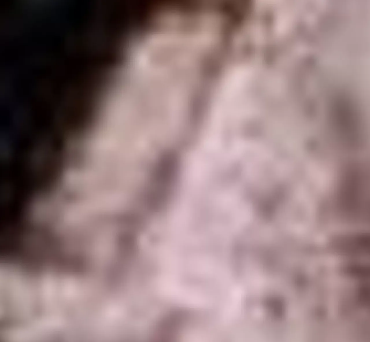 Aquatalia Boots-Palomina Mauve