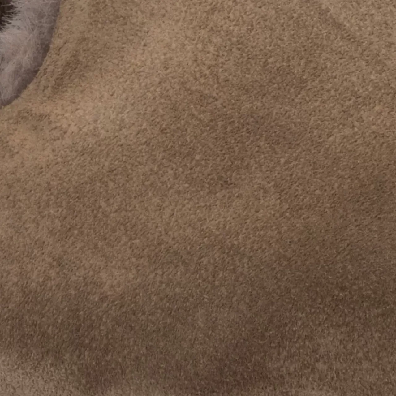 Aquatalia Flats-Rayla Light Taupe